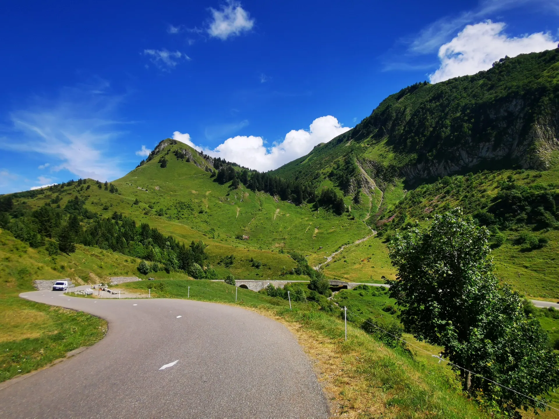 Alpenweiden